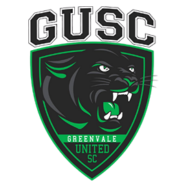 Greenvale United SC U16 Juniors - A Mixed