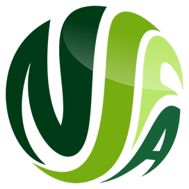 NSW - Northern Suburbs Division 2 logo