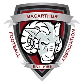 NSW - Macarthur Division 2 logo