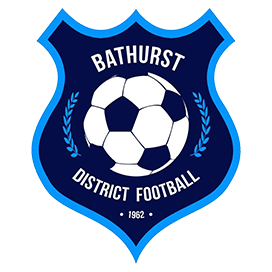 NSW - Bathurst Division 2 logo