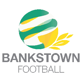 NSW - Bankstown District League logo
