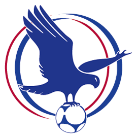 NSW - Manly Warringah Premier League logo